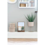 Lade das Bild in den Galerie-Viewer, Elegante Künstliche Aloe Vera Pflanze 51cm – Pflegeleicht, Modern, Zeitlos Schick