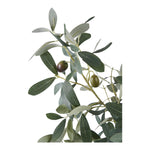 Lade das Bild in den Galerie-Viewer, Lebensechter Künstlicher Olivenbaum 61 cm: Mediterraner Flair für jedes Zuhause