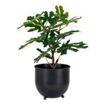 Lade das Bild in den Galerie-Viewer, Realistische 60cm Kunstpflanze Feigenbaum: Mediterraner Charme, Pflegeleicht für Zuhause