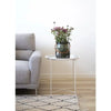 Eleganter Designer Couchtisch Lola: Modernes Wohnzimmer Highlight mit Stil und Funktion
