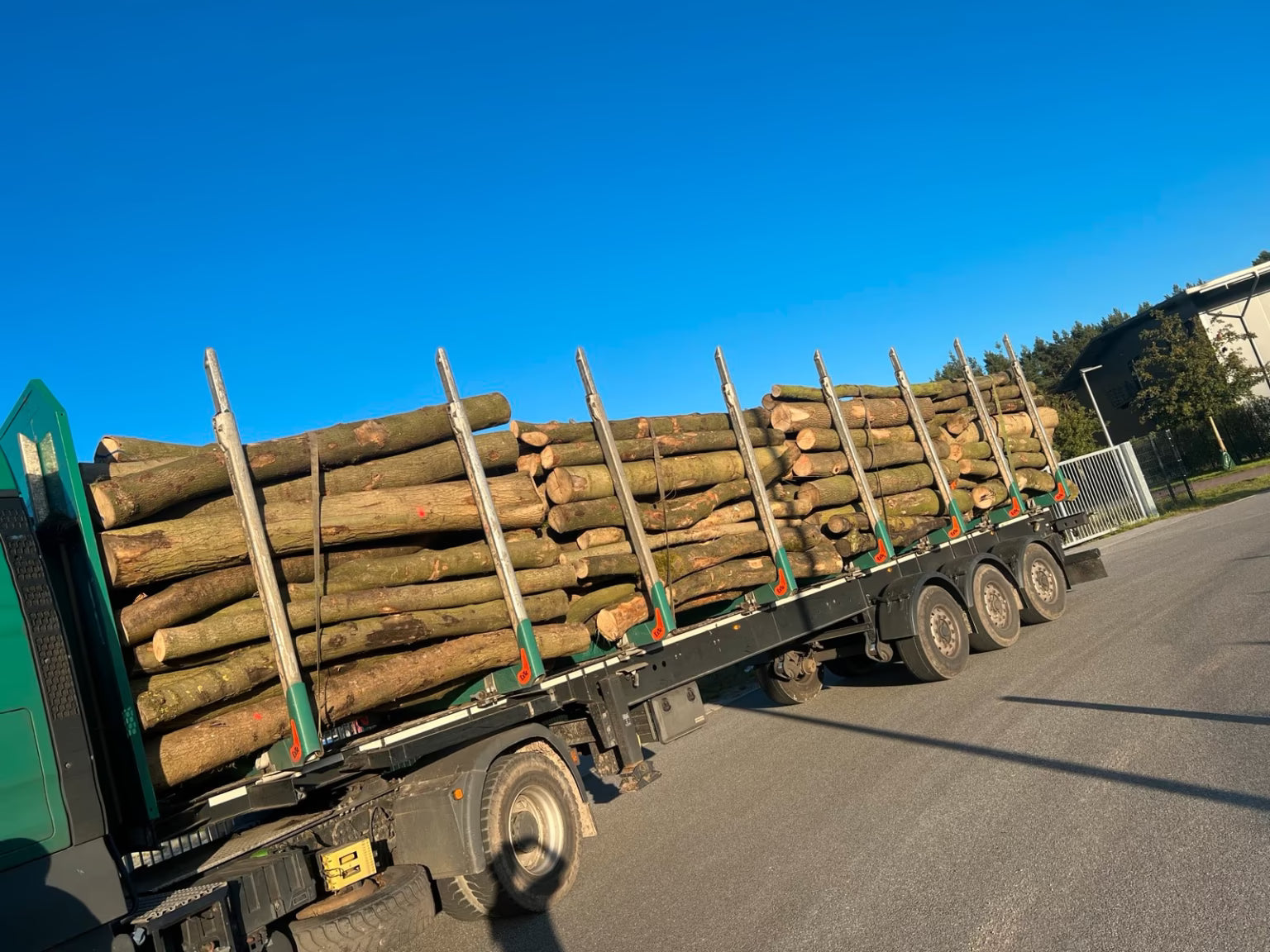 Hochwertiges Stammholz-Hartholzmix: Eiche, Esche, Hainbuche für effizientes Heizen