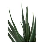 Lade das Bild in den Galerie-Viewer, Elegante Künstliche Aloe Vera Pflanze 51cm – Pflegeleicht, Modern, Zeitlos Schick

