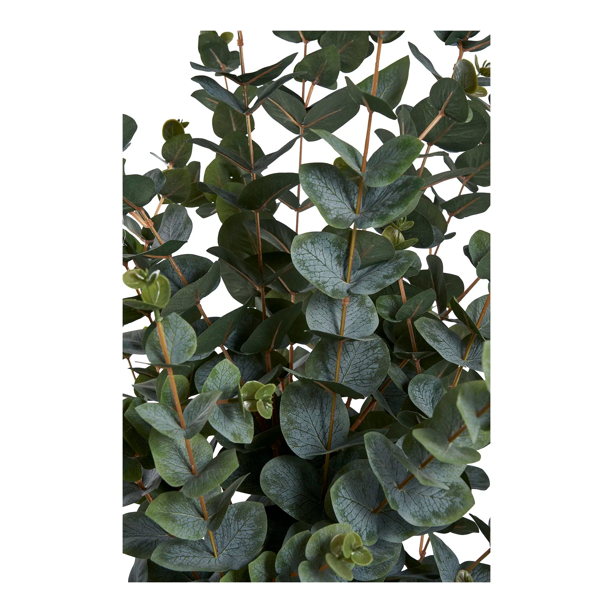 Eukalyptus Kunstpflanze 120cm – Elegante Dekoration für Ihr Zuhause, Pflegeleicht & Realistisch