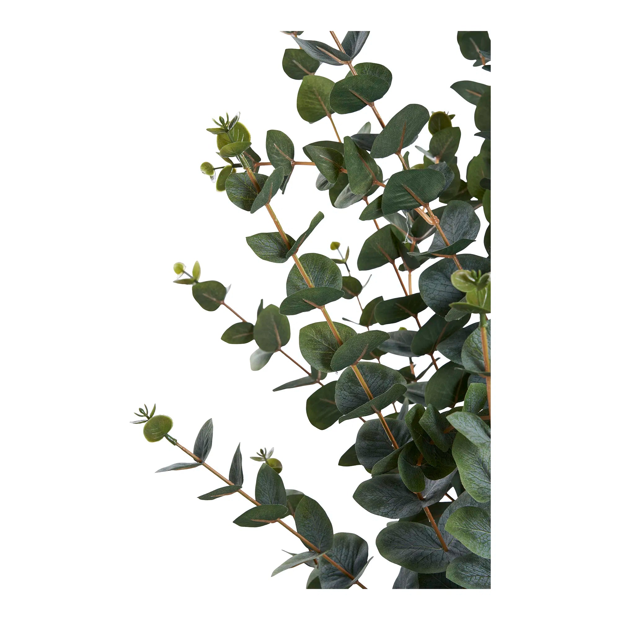 Eukalyptus Kunstpflanze 120cm – Elegante Dekoration für Ihr Zuhause, Pflegeleicht & Realistisch