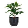 Realistische 60cm Kunstpflanze Feigenbaum: Mediterraner Charme, Pflegeleicht für Zuhause
