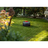 CRAMER RM 800 Roboter Rasenmäher: Smart, Leise, 800m², Bluetooth, IPX5
