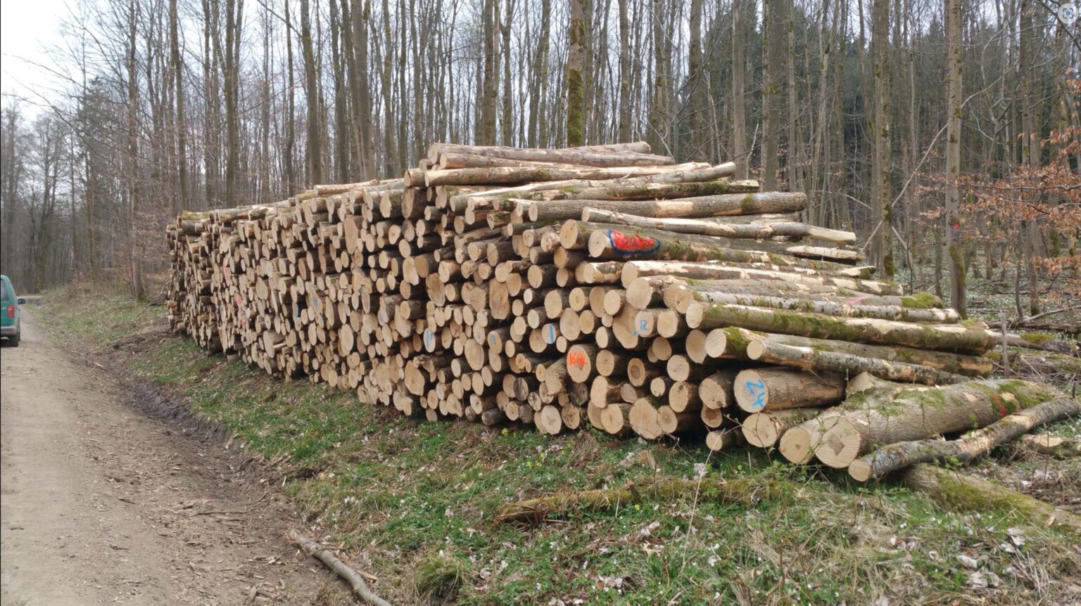 Hochwertiges Esche Stammholz Brennholz für Kamin und Ofen, PEFC-zertifiziert, flexibel spaltbar