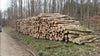Hochwertiges Esche Stammholz Brennholz für Kamin und Ofen, PEFC-zertifiziert, flexibel spaltbar
