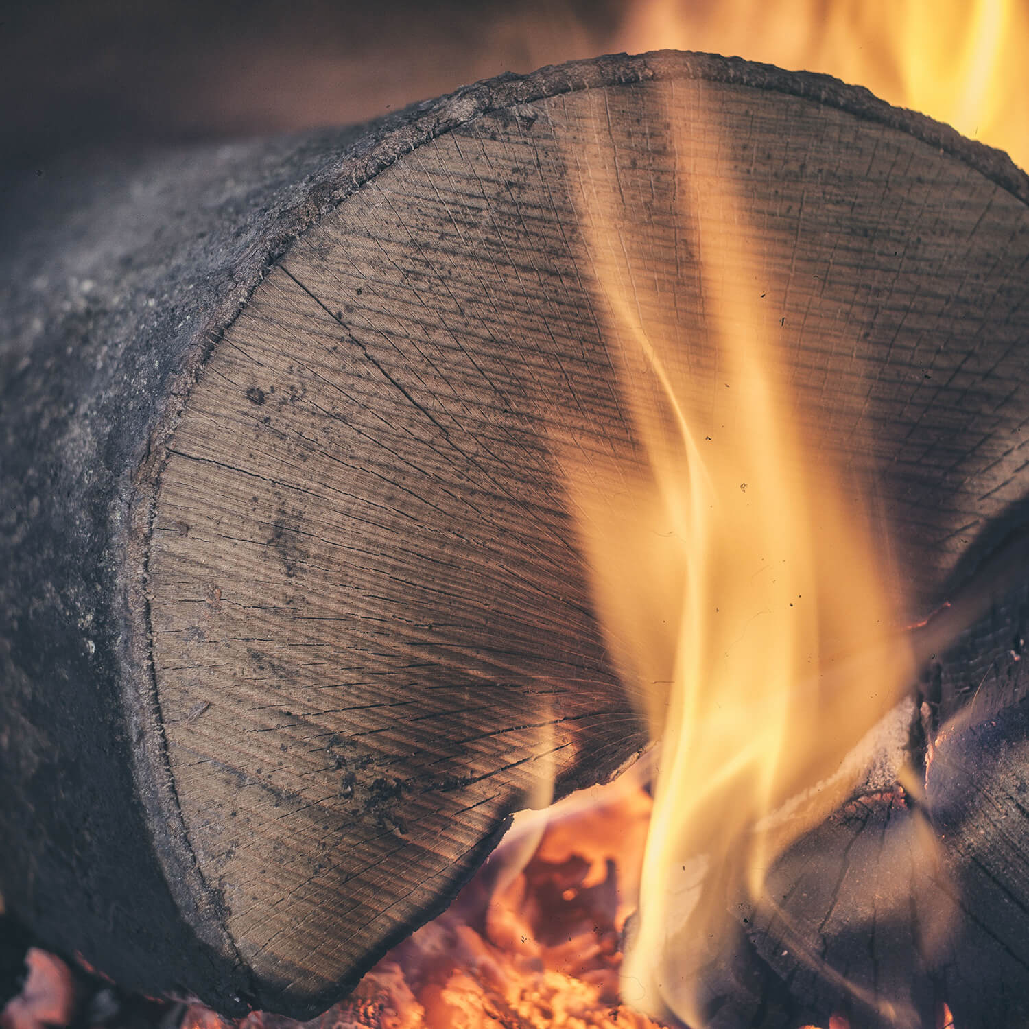Premium Buche Brennholz 33cm – Luftgetrocknet, Hoher Heizwert, Kamin & Grill Perfektion