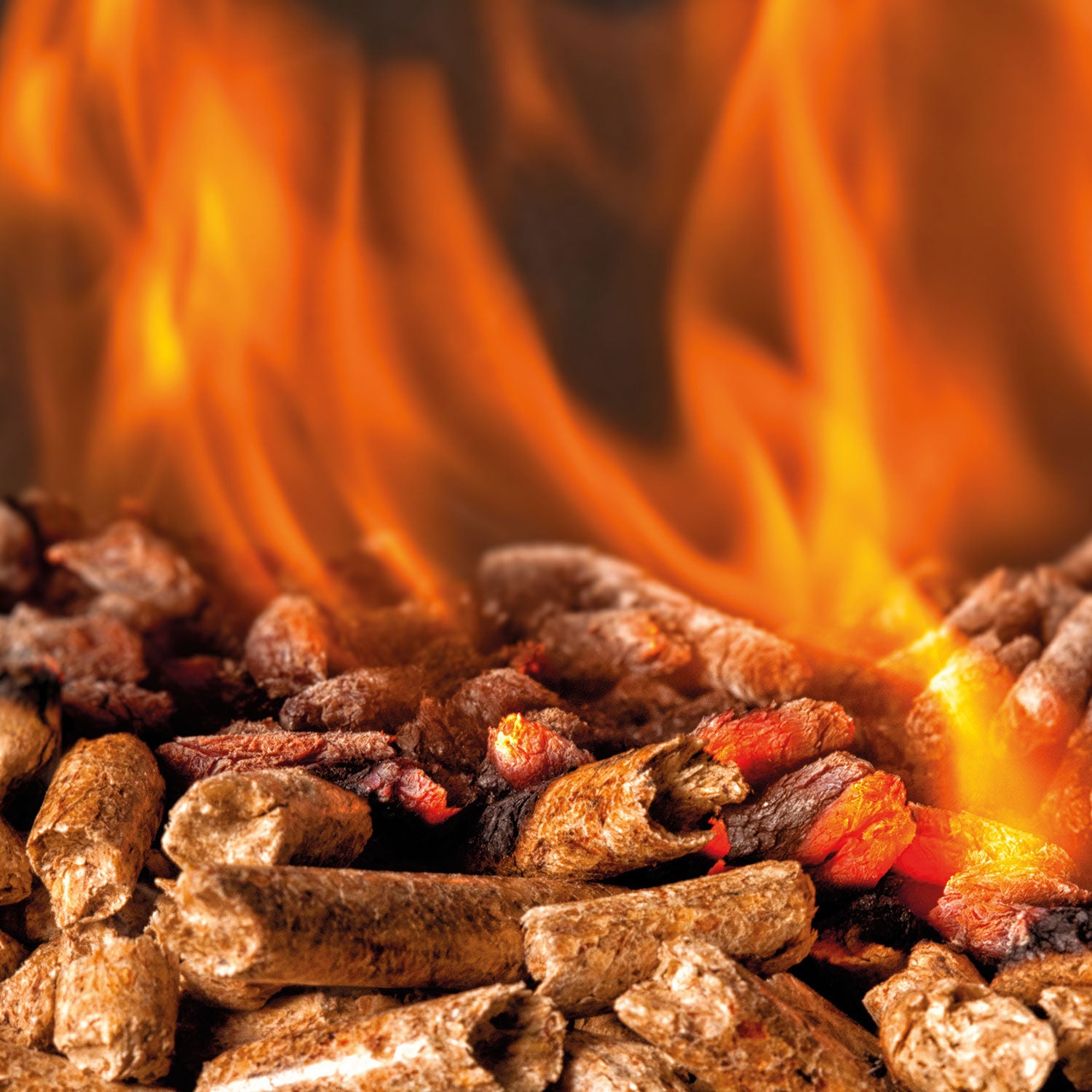 Heizfuxx® Red ENplus A1 Hartholz-Pellets: Effizient, sauber, nachhaltig heizen