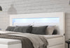 Luxuriöses Repos Boxspringbett mit LED Beleuchtung, USB-Anschlüssen & Komfort-Matratze
