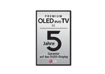 Lade das Bild in den Galerie-Viewer, LG OLED evo G2 65 Zoll 4K Smart TV für Wandmontage Gaming
