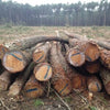 Hochwertiges Fichten-Stammholz für Brennholz – PEFC-zertifizierte Waldfrische Baumstämme
