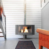 Invicta Antaya Kaminofen 12 kW: Eleganter Gusseisen Holzofen mit 3D-Flammenblick