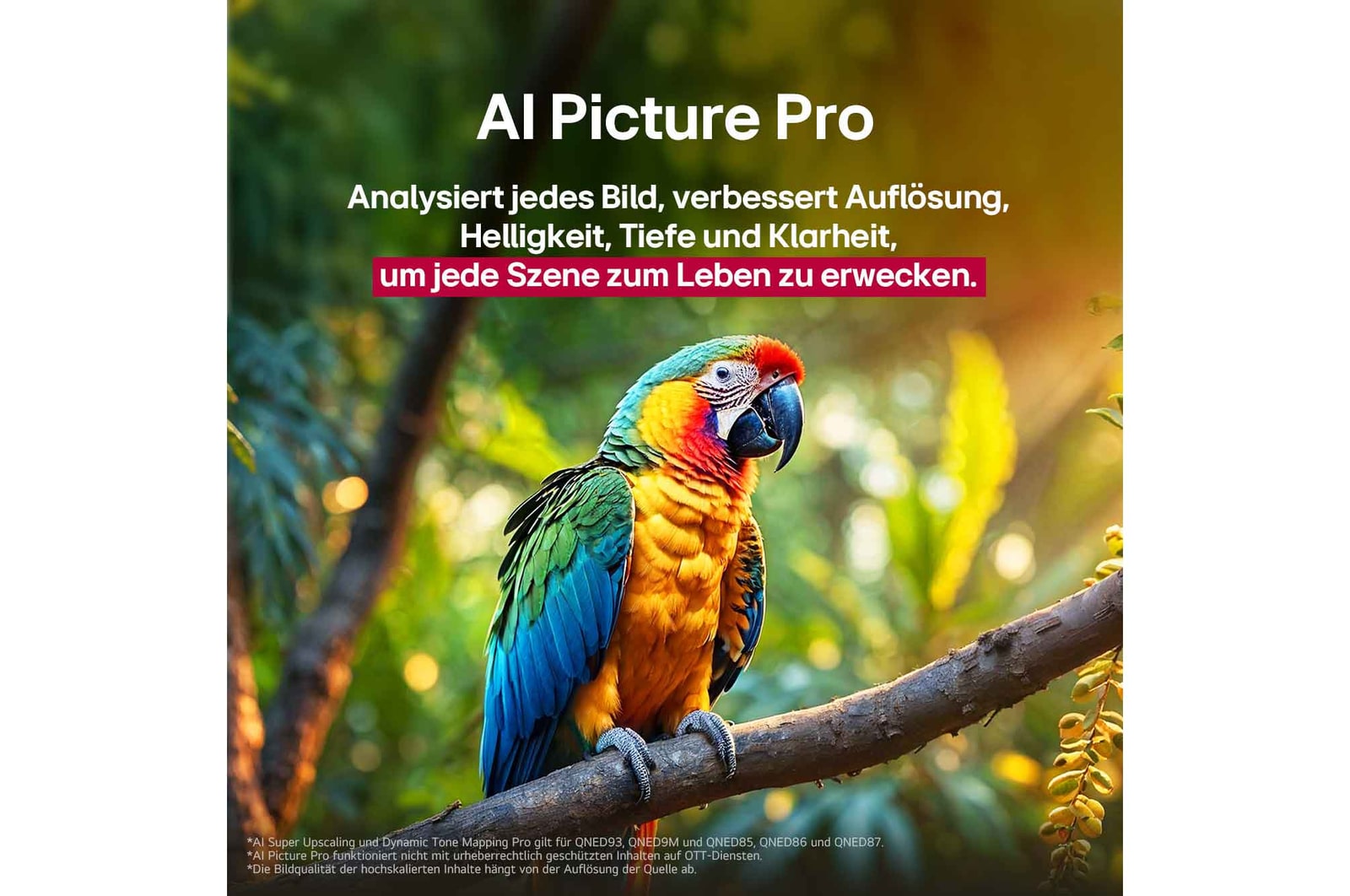 LG 100 Zoll QNED evo AI 4K MiniLED Smart TV – Brillantes Heimkinoerlebnis